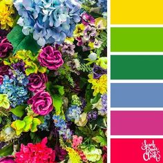 the color scheme is bright and colorful, with flowers in different colors on each side