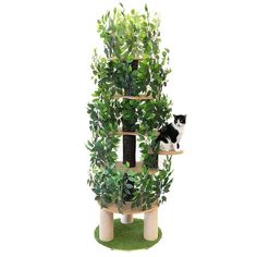 Realistic Huge Cat Tree with Sisal Posts & Leaves Tree Top View, Trees Top View, Large Cat Tree, Huge Cat, Cat Scratchers, Cat Trees, Tree Top, Cat Condo