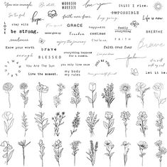 some flowers are drawn in black ink on a white paper with words and pictures above them