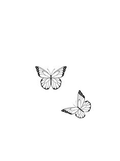 two butterflies flying side by side on a white background, one is black and the other is white