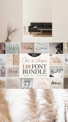 a collage of photos with different font styles and colors, including the words'10 font bundle '