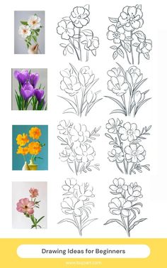 flowers are drawn in different ways with the words drawing ideas for beginners