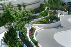 an outdoor garden area with various plants and trees on the side of a large building