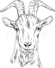 a goat's head is shown in black and white