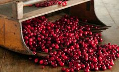 cranberries are being milled into a wooden machine