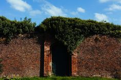 a brick wall with a quote on it that says, you may defy, but time will not