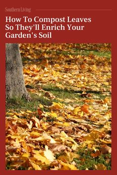 the cover of how to compost leaves so they'll finish your garden's soil