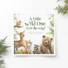 a little wild one is on the way book next to some pine branches and leaves