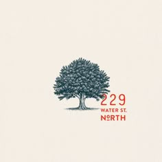 a drawing of a tree with the number 299 water st north written below it