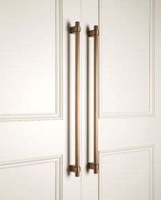 an image of two handles on the door