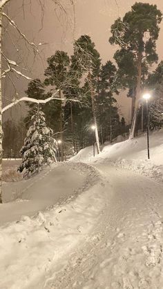 a man riding skis down a snow covered slope next to a forest at night