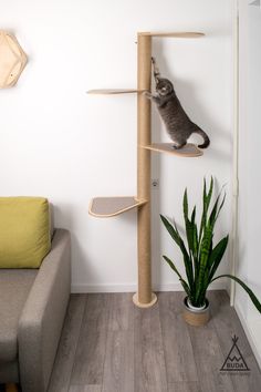 a cat sitting on top of a scratching post in a living room next to a couch