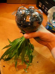 a person is holding up some plants on a wooden table with other items in the background