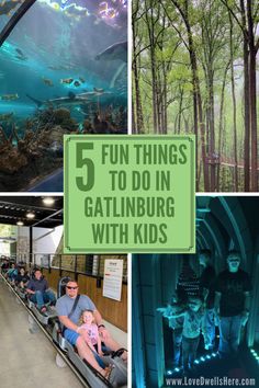 the top five things to do in gatlinburg with kids, including an aquarium and