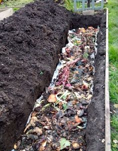 a garden filled with lots of dirt and plants