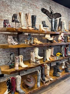 many pairs of cowboy boots are lined up on shelves in a room with brick walls