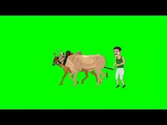 a man is standing next to a cow on a green screen with an antelope