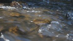 the water is flowing over rocks in the river