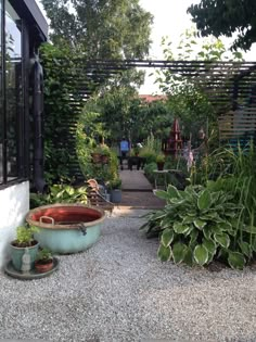 an outdoor garden with various plants and trees