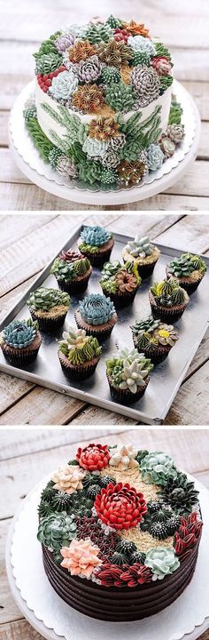 there are many cupcakes on the tray and one is decorated with succulents