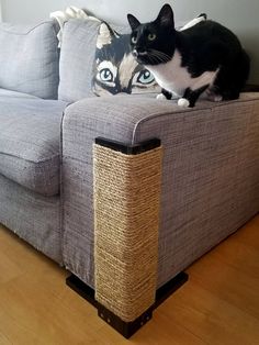 a black and white cat sitting on top of a gray couch next to a pillow