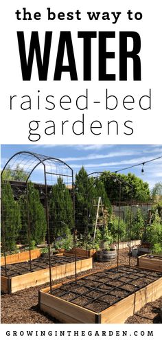 the best way to water raised - bed gardens is with text overlay that reads, the best way to water raised - bed gardens