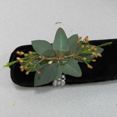 a plant with green leaves and tiny white flowers on top of a black velvet case