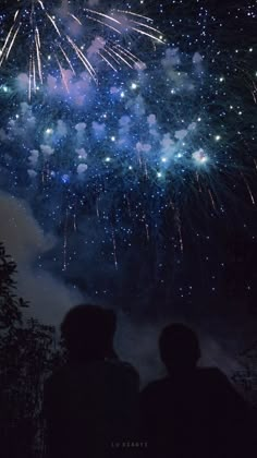 two people looking at fireworks in the sky