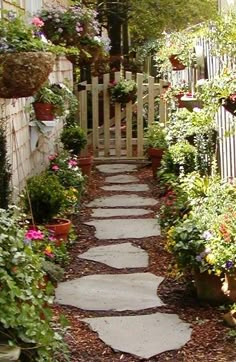 a stone path is surrounded by potted plants and other flowers in the background, along with a white picket fence