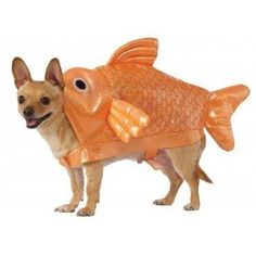 Goldfish Pet Costume Goldfish Costume, Fish Costume, Dog Halloween Costumes, Gold Fish, Dog Costumes, Dog Costume, Halloween Animals, Cat Costumes, Pet Costumes