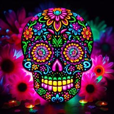 a brightly lit skull with flowers in the background