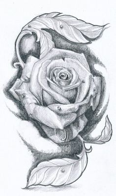 a pencil drawing of a rose with leaves