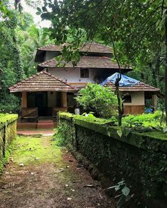 the house is surrounded by lush green trees