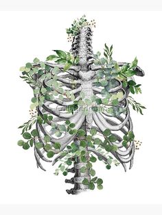 a drawing of a rib cage with plants growing out of it's back ribs