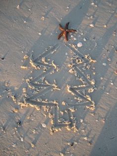 a starfish is drawn in the sand next to an object that looks like a christmas tree