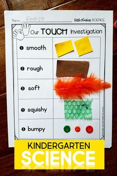 Kindergarten Science Curriculum, Kindergarten Science Lessons, Five Senses Preschool, Pre-k Science, Senses Preschool, Senses Activities, Preschool Science Activities, Kindergarten Lesson Plans, Kindergarten Lessons