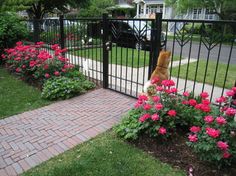 a dog sitting on its hind legs in front of a fence with pink flowers behind it