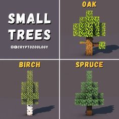 four different types of trees with the words small trees on each side and one tree that has