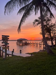 the sun is setting over the water and there are palm trees in front of it