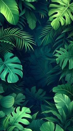 green tropical leaves on a dark background