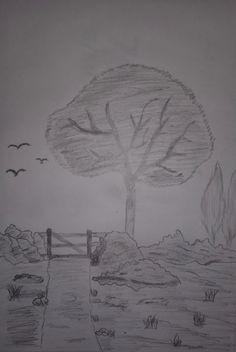 a pencil drawing of a tree and fence