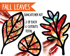 the fall leaves suncather kit includes 2 of each 6 cutouts to match