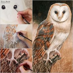 an owl is being drawn with colored pencils