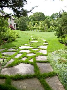 a stone path in the middle of a lush green yard