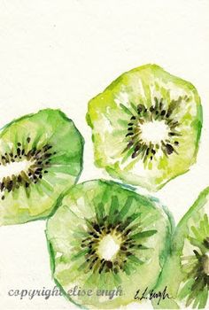 three slices of kiwi fruit are shown in this watercolor painting by artist elizabeth smith