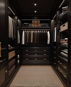 a walk in closet filled with lots of drawers and clothes on top of shelves next to a rug