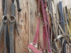 several different types of horse bridles hanging on a wooden wall with ropes attached to them