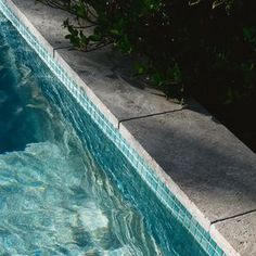 an empty swimming pool with blue water and green plants in the backround area