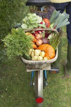 a wheelbarrow filled with lots of different types of vegetables