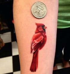 a small red bird on the arm next to a quarter dollar coin and an instagram post